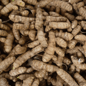Erode Turmeric