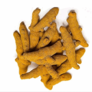Rajapore Turmeric