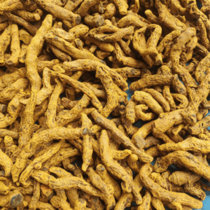 Salem Turmeric