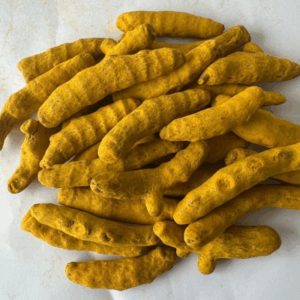 Sangli Turmeric