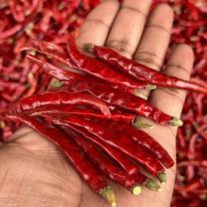 Teja S17 Chilli
